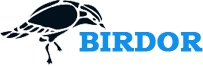 Zeltravonirqm Logo